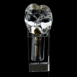 Modèle Cristal d'implant dentaire M2019-II