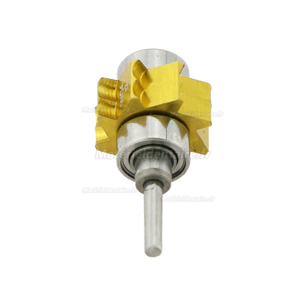 COXO W04 Rotor Turbine Dentaire pour W&H 198 Top Air 198 898