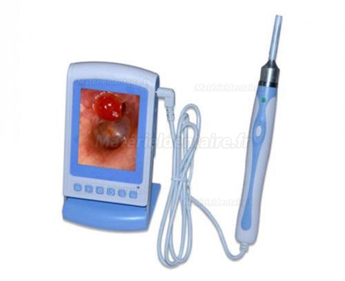 Digital Video Otoscope Endoscope /Sinuscopes avec diamètre de 3.9mm tube imperméable flexible