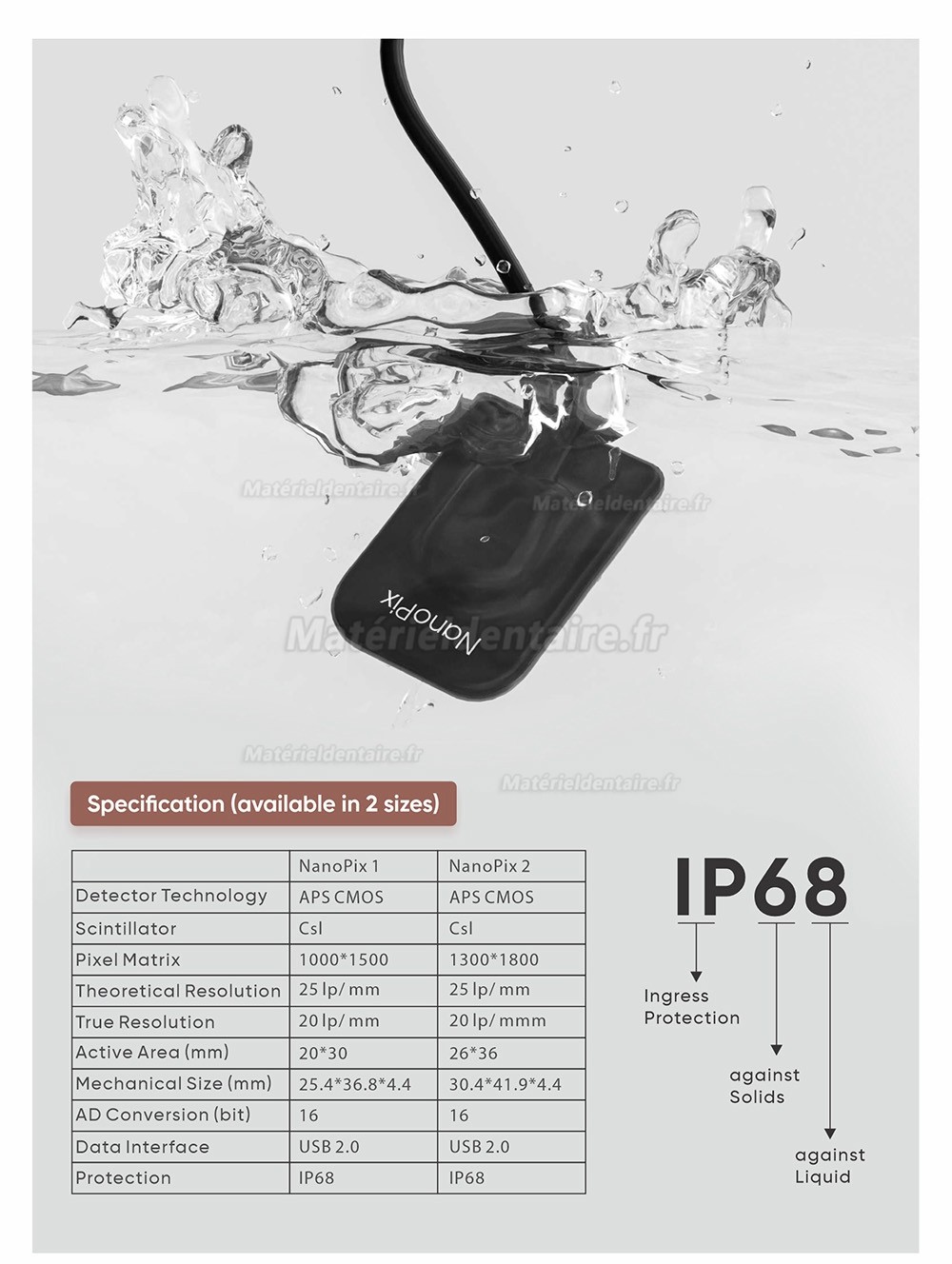 Capteur RVG dentaire/ Capteur intra-oral numérique Eighteeth® Nanopix