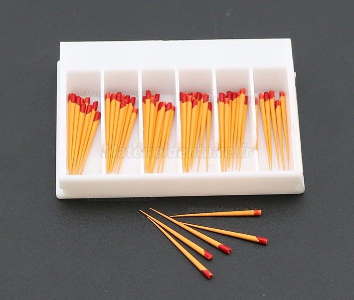 5Paquet/300Pcs Pointes F2 de Gutta Percha Points Dentaire pour Dentsply Maillefer Protaper