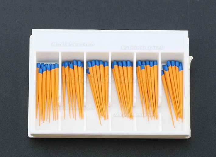 5Paquet/300Pcs Pointes F3 de Gutta Percha Points Dentaire pour Dentsply Maillefer Protaper