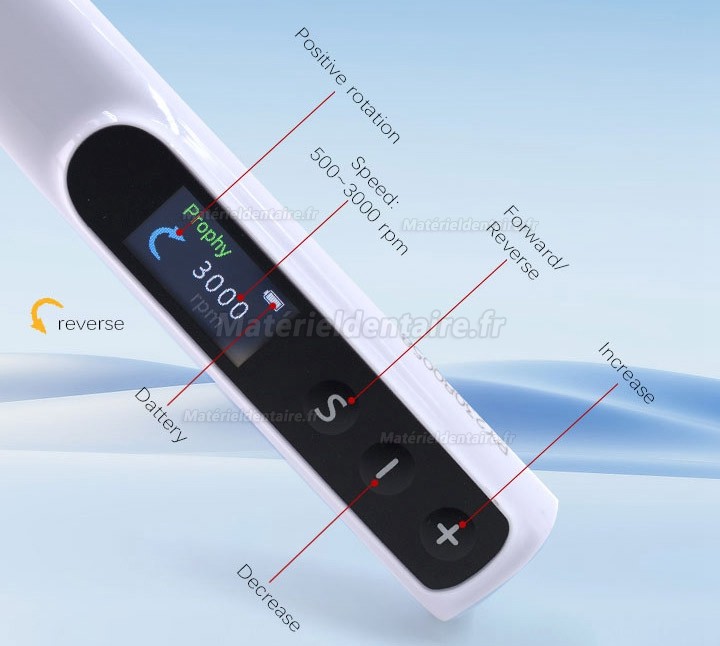 Contre-angle pour prophylaxie dentaire pivotement à 360° avce 2 pièces cupule pour prophylaxie