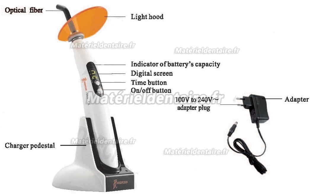 Woodpecker® Type B Lampe LED à photopolymériser