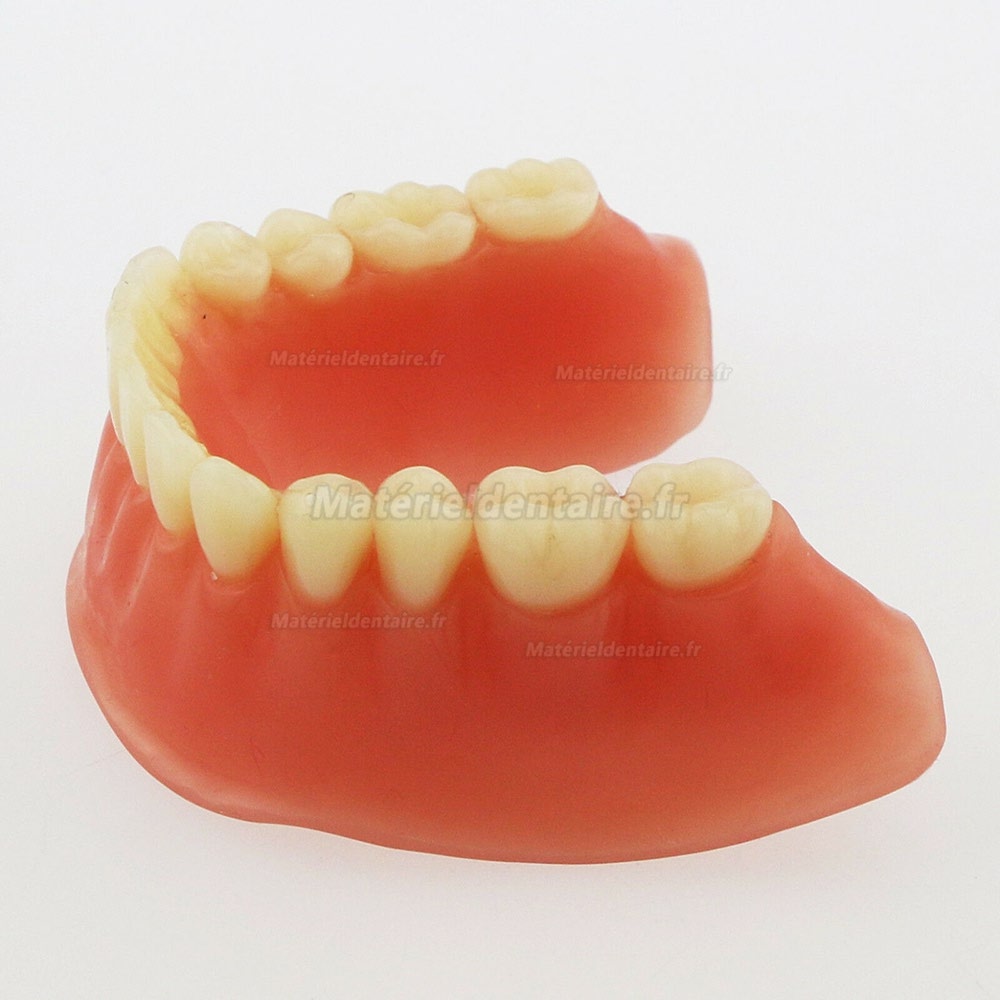 Dentaire inférieur Modèle de dents Overdenture Précision 4 implants Manifestation Bar d'Argent