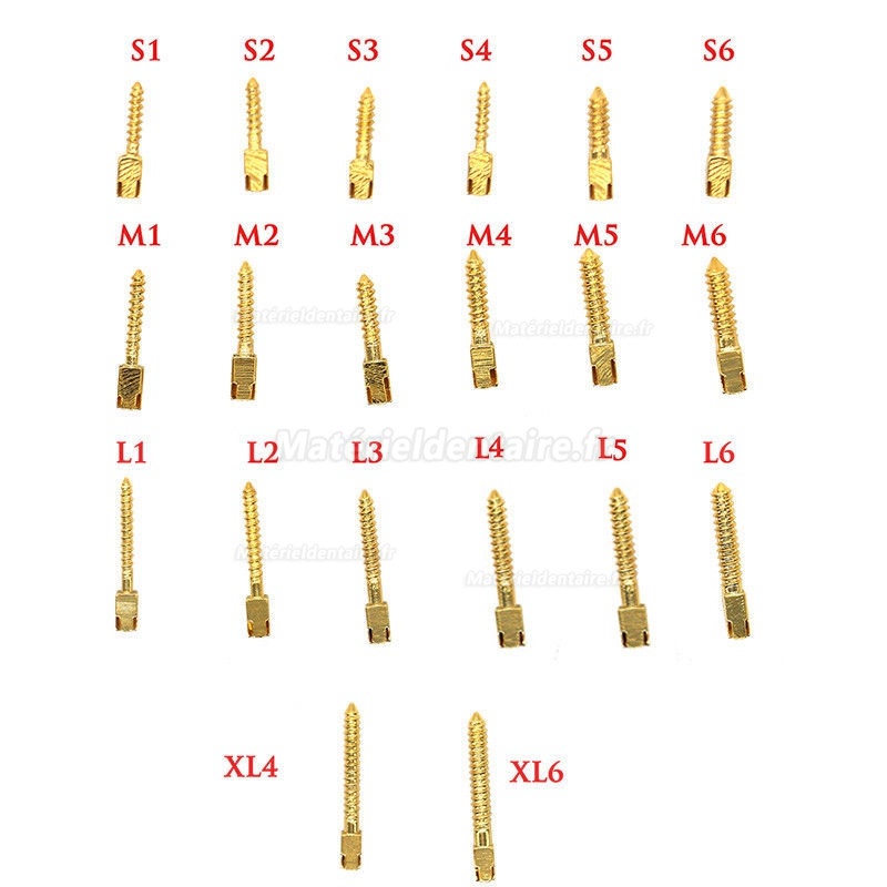 30pcs/sac dentaire matériel endodontique plaqué or 24k tige de vis Toutes les tailles