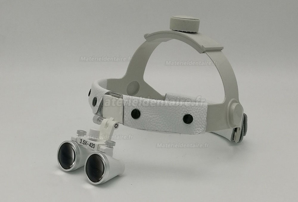 3.5X 420mm Loupe binoculaire chirurgical dentaire bandeau en cuir + LED Lampe frontale dentaire