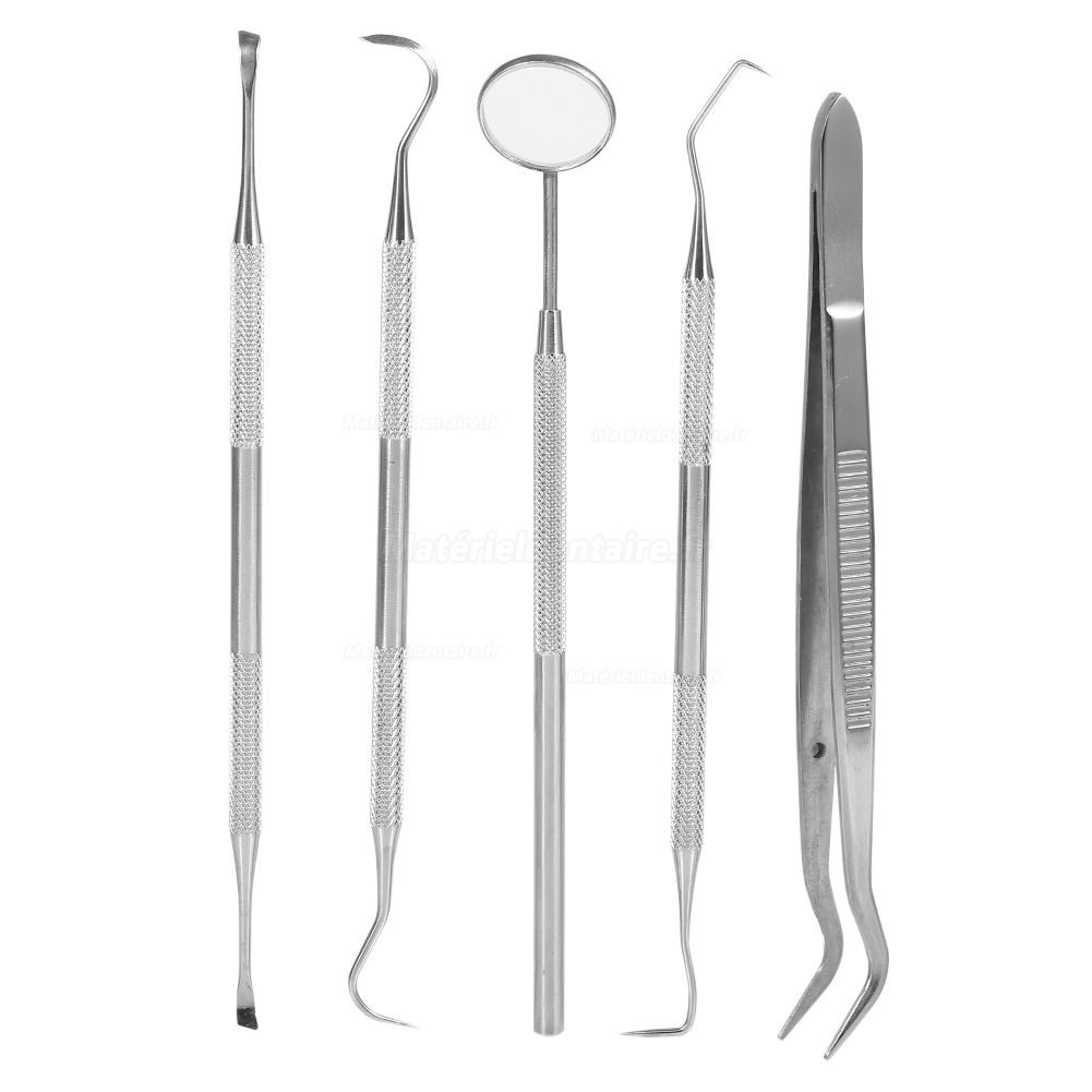 5pcs / set hygiène Soins dentaires dents Oral Bouche Scaler Miroir faucille Outils à main