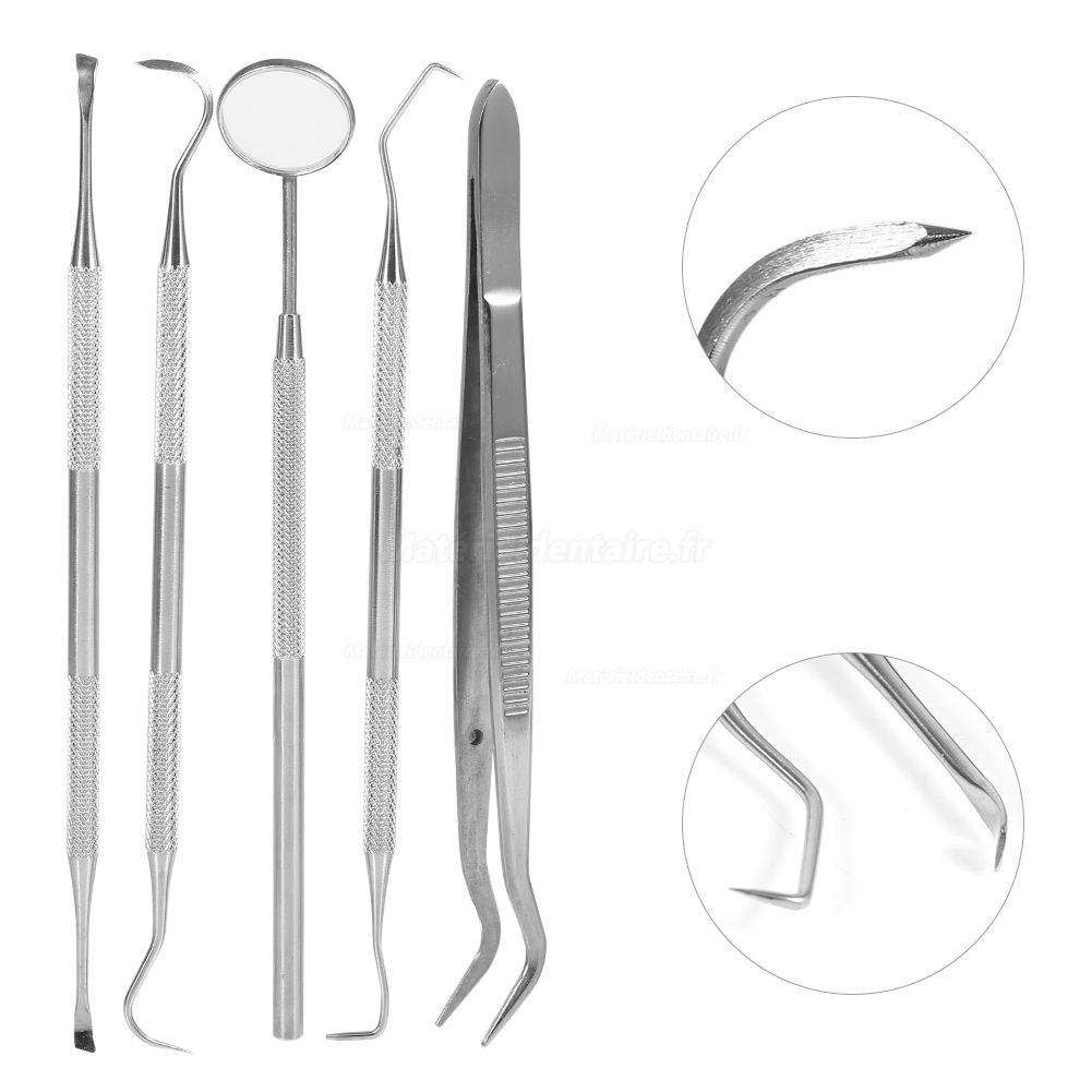 5pcs / set hygiène Soins dentaires dents Oral Bouche Scaler Miroir faucille Outils à main