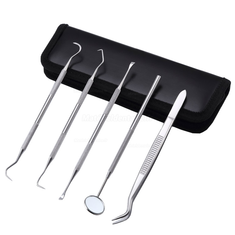 5pcs / set hygiène Soins dentaires dents Oral Bouche Scaler Miroir faucille Outils à main