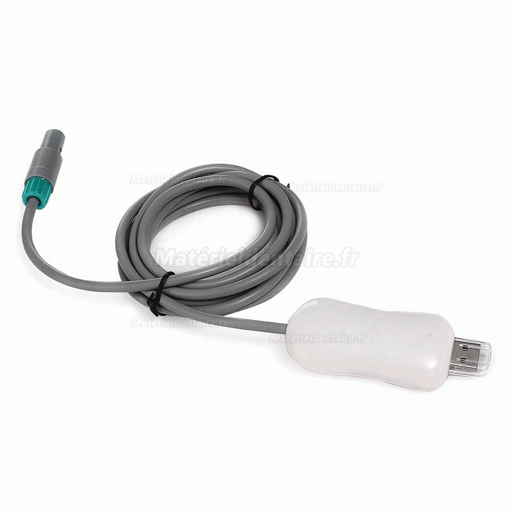 1/4 SONY CCD 4 Mégapixel Caméra intra-orale USB connexion l'ordinateur