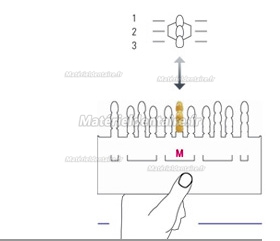 VITA Toothguide 3D-MASTER® Relevé de teinte Toothguide