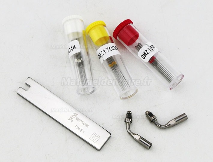 TW-E1 Pointe E1 E2 Clé de NITI K Kit Dentaire de Canal Radiculaire Endodontique de Woodpecker