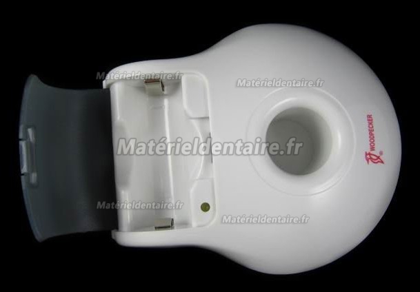 Woodpecker® Type C Lampe LED à photopolymériser 1000mw