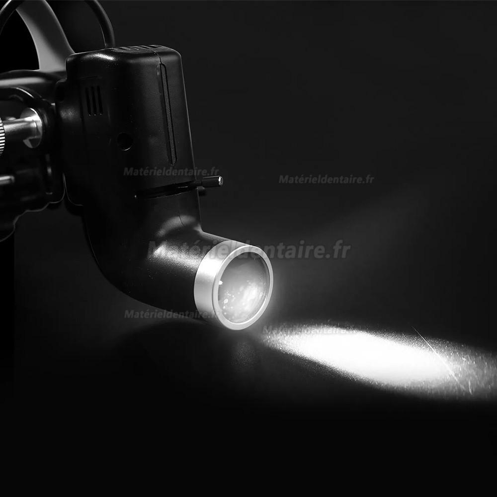 Lloupe binoculaire chirurgicale dentaire + 5W LED lampe frontale dentiste YUYO DY-Kit 4.0X/5.0X/6.0X/8.0X-R